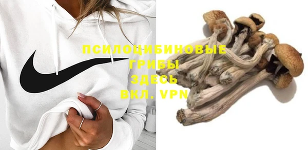 a pvp Бородино