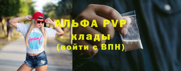 a pvp Бородино
