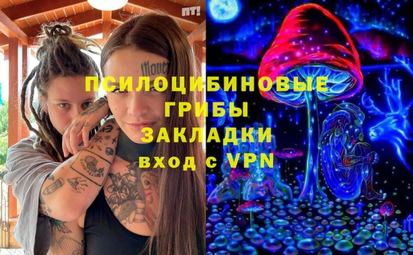 a pvp Бородино