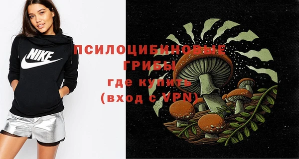 a pvp Бородино