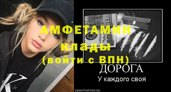 a pvp Бородино
