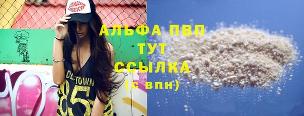 a pvp Бородино