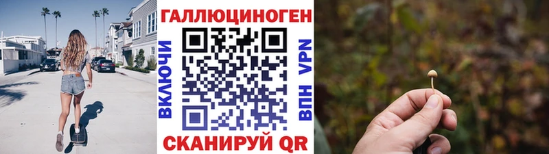 сколько стоит  блэк спрут онион  Псилоцибиновые грибы мицелий  Мончегорск 