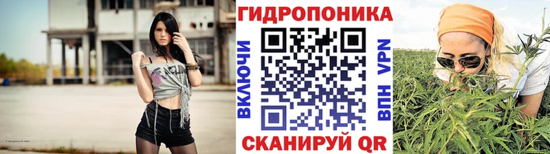 дарк нет телеграм  Мончегорск  Канабис сатива  ссылка на мегу tor 